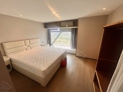 西湖科技园 温馨单身公寓 1.8米大床 价格便宜