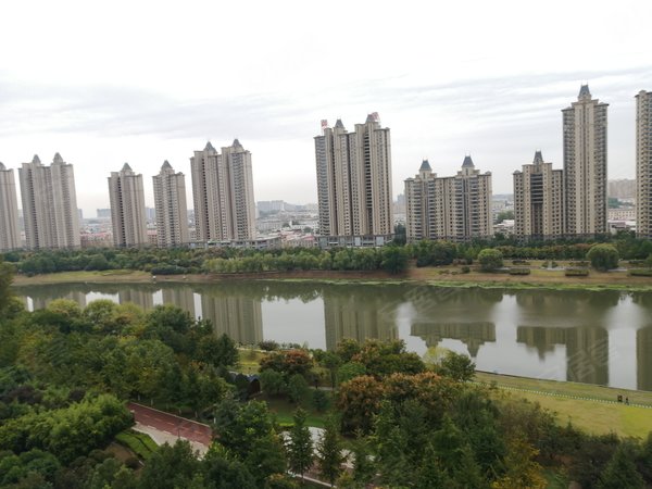 漯河郾城郾城城区建业森林半岛黄河路 市政府附近 森林半岛精装2室