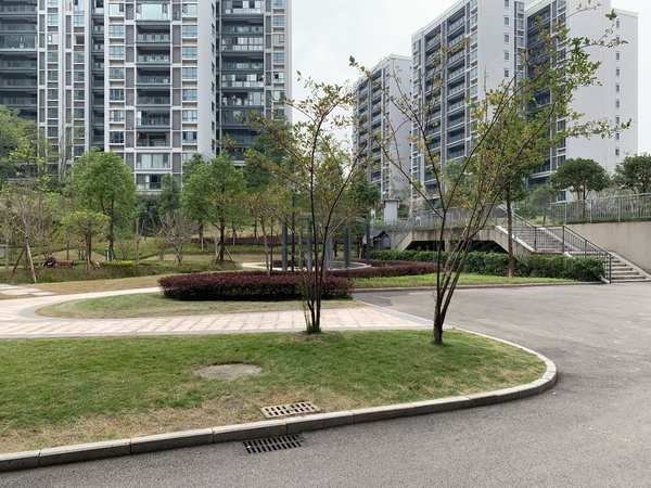 重庆渝北空港川航佳园川航佳园 4室2厅2卫 电梯房 南北通透 精装修