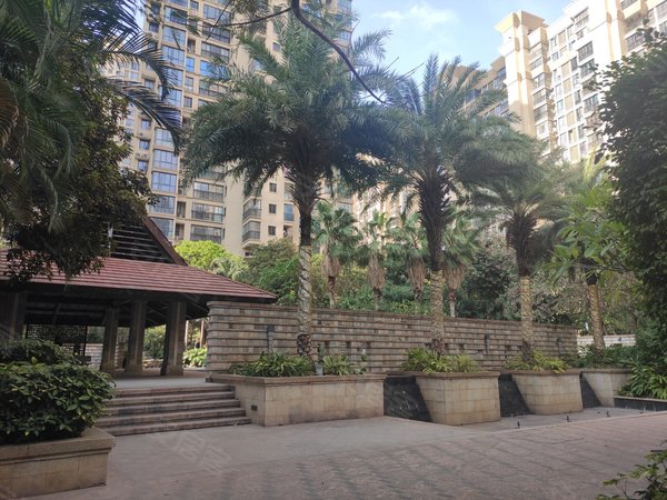 泉州晋江体育中心凯旋国际凯旋国际 1室1厅1卫 950元月 全配电梯房 37