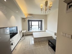 株洲荷塘新桂广场万达广场 精装公寓 可短租 700押一付一 环境好 交通便利出租房源真实图片