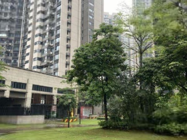 东环租房,荣和千千树城中 窑埠古镇 东环路 市 五星街,鱼峰租房-柳州