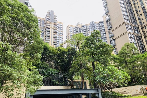 中洲华府(二期)