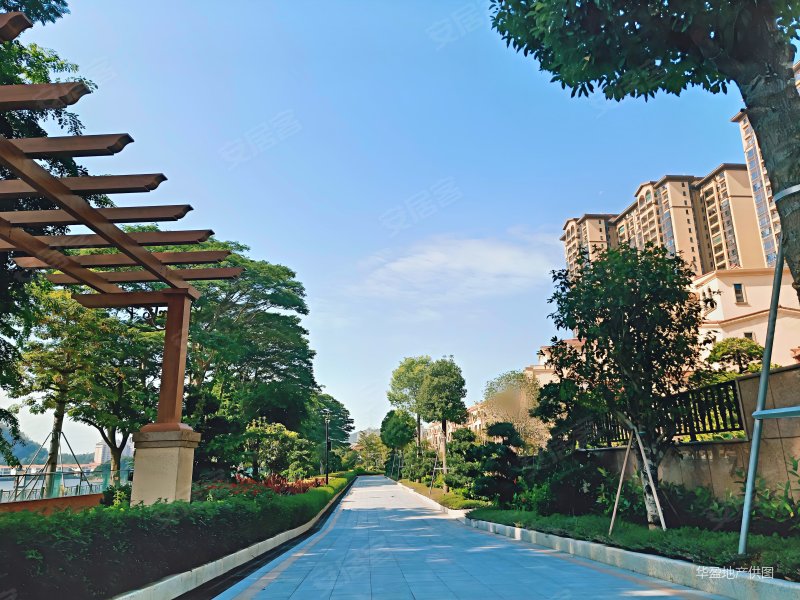 湖山雅居带电梯次新房商品住宅双卫生间中间楼层采光好