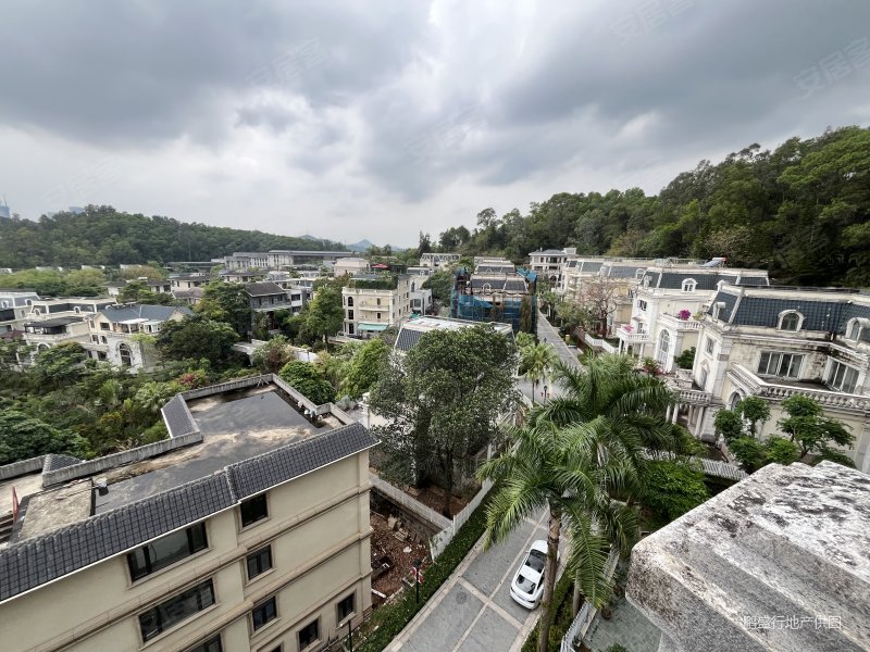 大学城西丽山庄 独栋别墅 实用680平带260平花园 随时看,西丽山庄(别