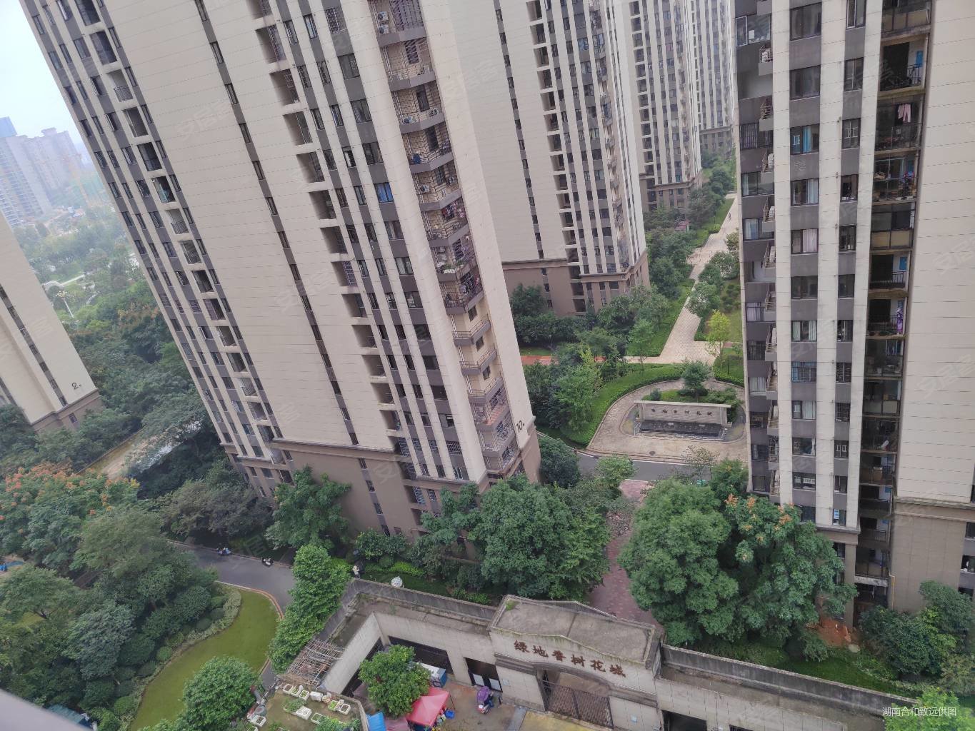 绿地香树花城3室2厅1卫92㎡南北62万