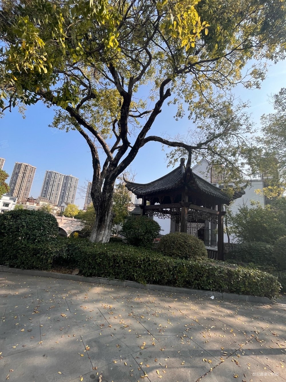 恒达盘龙湾竹苑