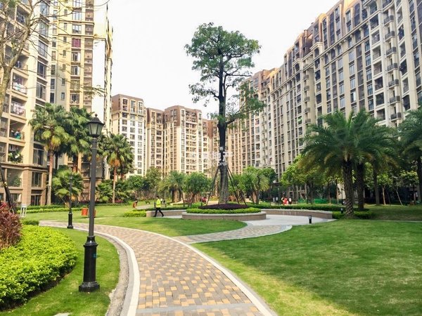 高端小区万科金色领域 精装3房 可空房可配齐急租出租房源真实图片