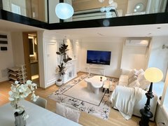 合肥政务荷叶地政务天鹅湖银泰 安粮唯品会 政务壹号精装复式 落地窗拎包入住出租房源真实图片