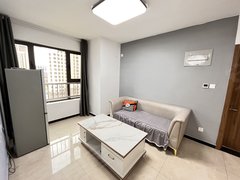 保定莲池东湖公园未来石小米支点附近一室一厅一厨一卫，家具家电齐全拎包入住出租房源真实图片