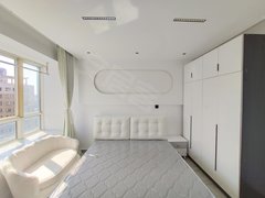 苏州工业园独墅湖翰林缘 精装一室一厅公寓 民用水电 地铁口 近桑田岛华为基地出租房源真实图片