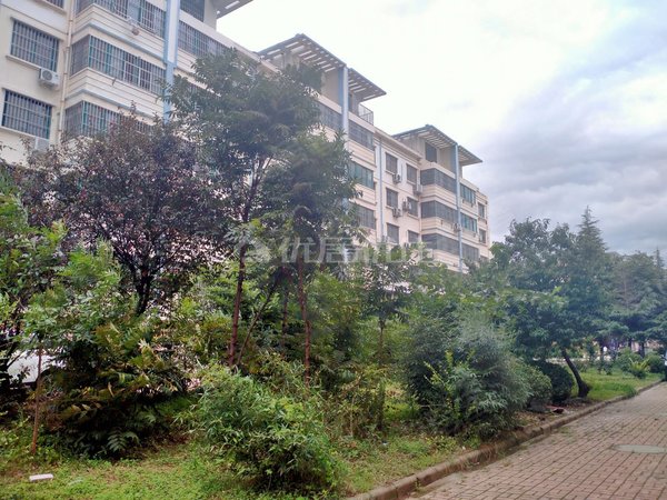 青岛莱西水集银泰紫荆城带车库,北京路紫荆城,矮楼层,价格便宜出租