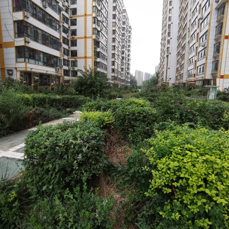 【东阳花园, 东阳花园小区详情,房价走势,房源,业主论坛】- 临汾58