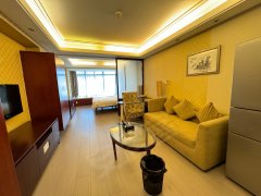 诚租 EAC国际公寓精装开间一室一厅 实拍如图随时 世贸丽晶