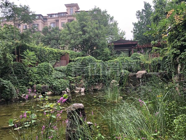 银谷美泉南北三居室小区环境好居住舒适拎包住近公园