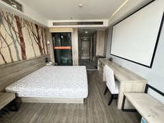 临沂蒙阴新城路伯爵公馆公寓 精装修 拎包入住出租房源真实图片