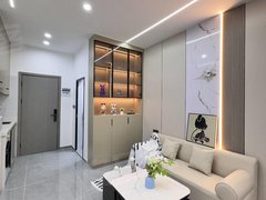 柳州鱼峰谷阜街柳州银泰城附近 江滨公园 江南新天地 押一付一 免费停车出租房源真实图片