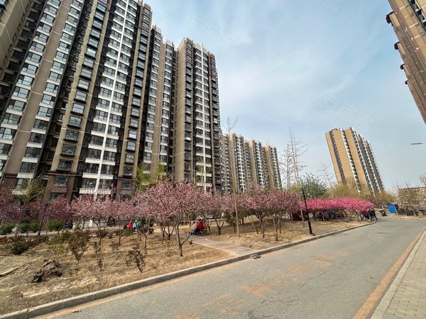 北京朝阳东坝坝鑫家园东坝 望京 酒仙桥七棵树 798艺术馆 坝鑫家园