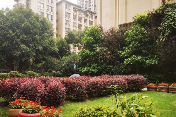 永川金科阳光小镇(南区)