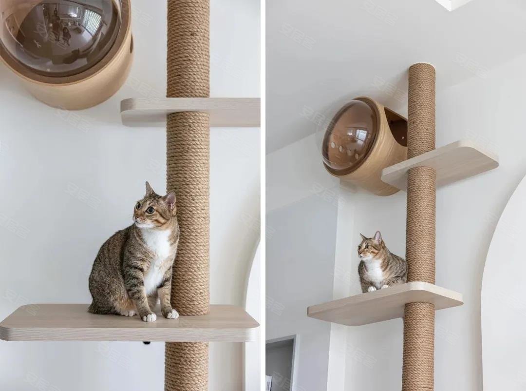 现代简约空间设计为猫咪保留一片天地