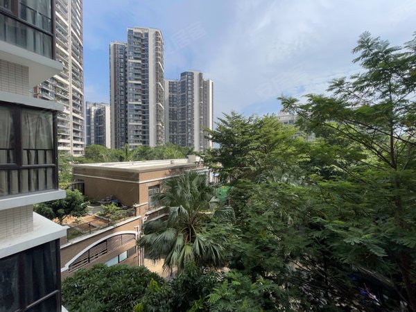 南海玫瑰园三期 南北通透 超大阳台 看海景 家私全齐出租房源真实图片