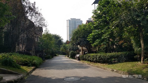 渝北汽博中心绿地翠谷叠拼别墅 双车位大花园全明地下室业主诚售