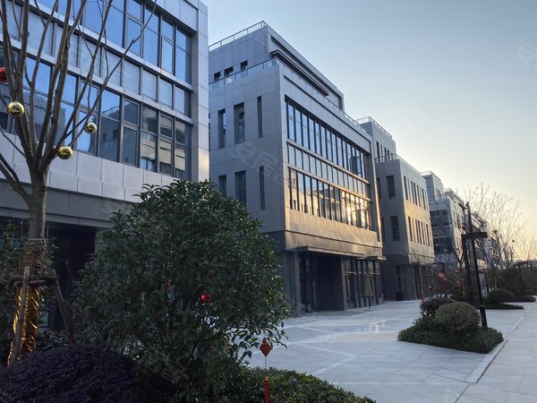 杭州西湖转塘禹洲滨天地滨天地 精装修 拎包入住  带阳台 di一次出租