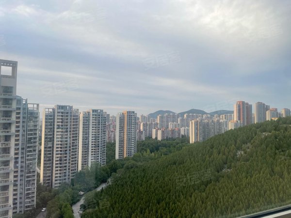 【多图】祥泰广场,八里洼租房,祥泰广场 1室1厅1卫,市中租房-济南58