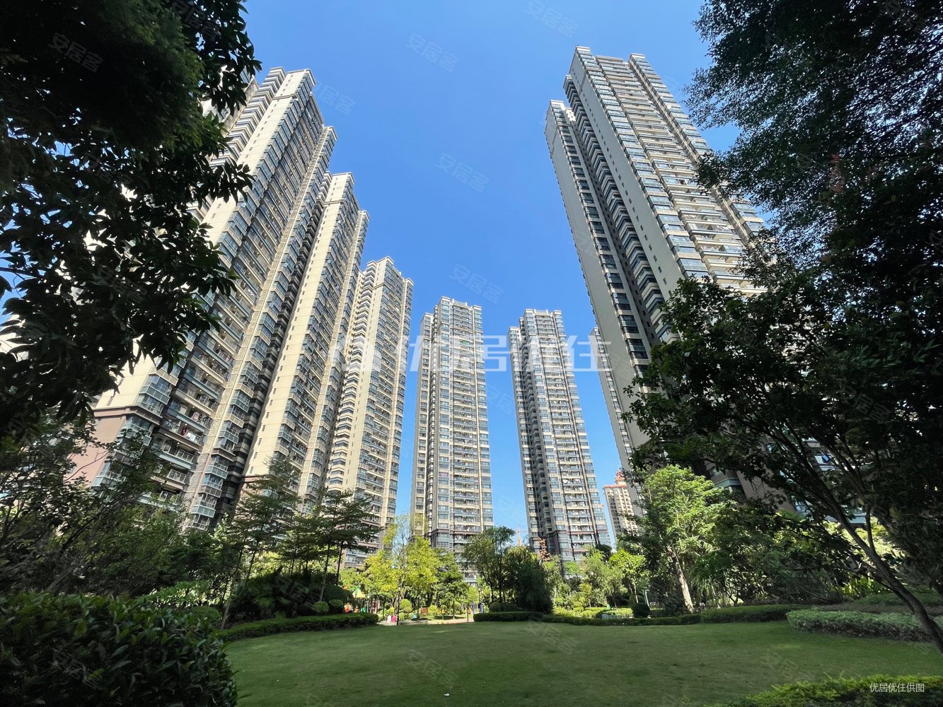 凤岭北精装现房荣和千千树荣和凤岭学府旁双翠竹