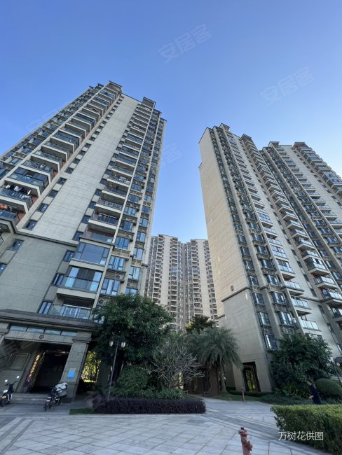 恒大滨江左岸(一期) 急售价格可议 精装三房 南北通透