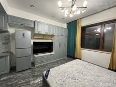 肇东肇东城区肇东市区出租荣耀名邸9号公寓15楼，45平精装修家具家电齐全拎包入住出租房源真实图片