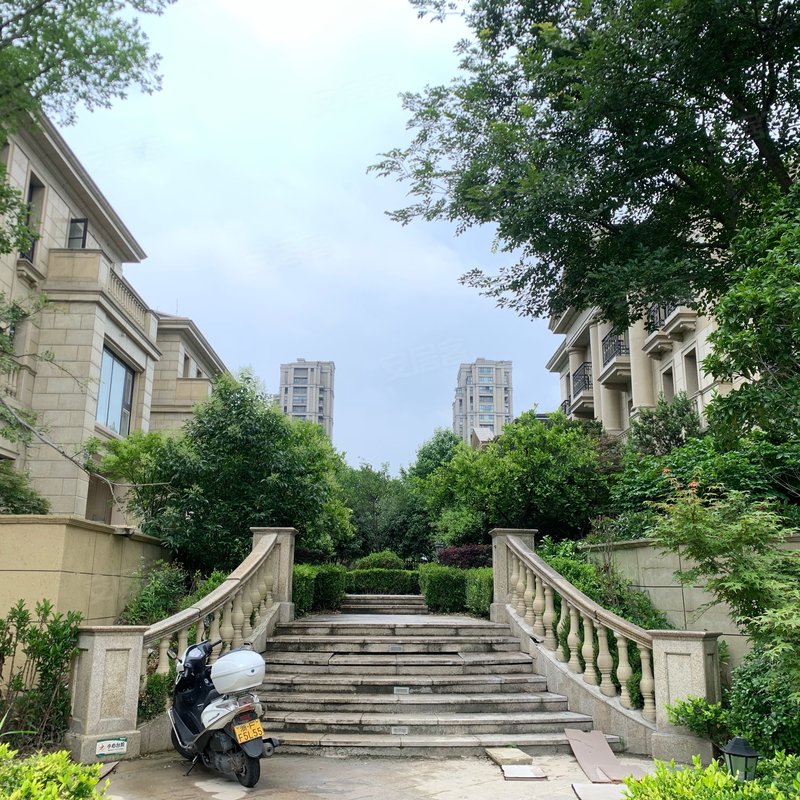 卡森卫星城王庭世家别墅