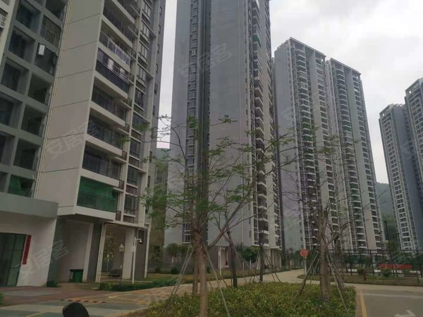 深圳大鹏新区葵涌坝光新村(西区)华润商圈,精装两房,家私全齐,随时