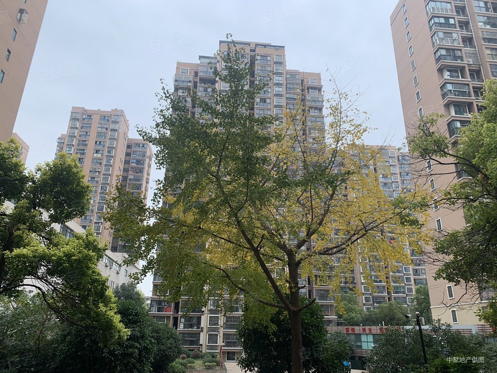 合肥二手房 蜀山二手房 三里庵二手房 奥林花园雍景苑