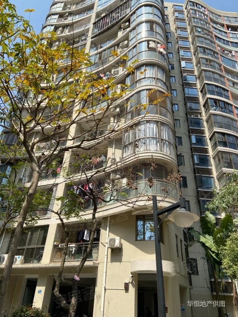 绿苑新城电梯精装两房带落地大阳台看房方便