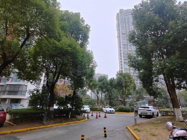 【多图】金星家园,金星租房,金星家园 2室2厅1卫 90平 豪华装修 电梯