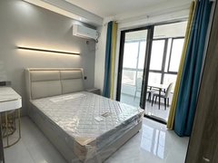 湖州吴兴西南新城天河理想城 多套单间独卫一室一厅带阳台燃气做饭 精装修电梯房出租房源真实图片