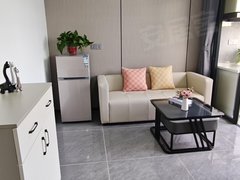 怀化鹤城城中城中 新天地 市中心步步高附近精装一房 无中介 可押一付一出租房源真实图片