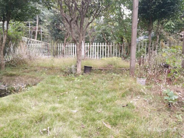 【多图】湖南龙头企业(龙湖湘风原著)别墅边户