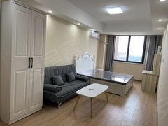 安阳文峰中环百货万达旁 嘉宝公寓 随时看房 精装修拎包入住 中间楼层出租房源真实图片