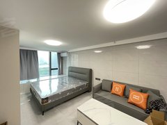 晋江晋江吾悦广场吾悦广场片区宝业头家 1室0厅1卫  电梯房 精装修50平米出租房源真实图片