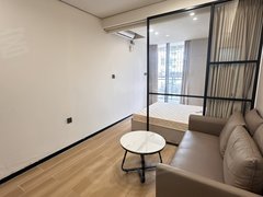 深圳龙华深圳北站民治地铁站 大润发 优城 水尾单间公寓民水民电带车位一房两房出租房源真实图片