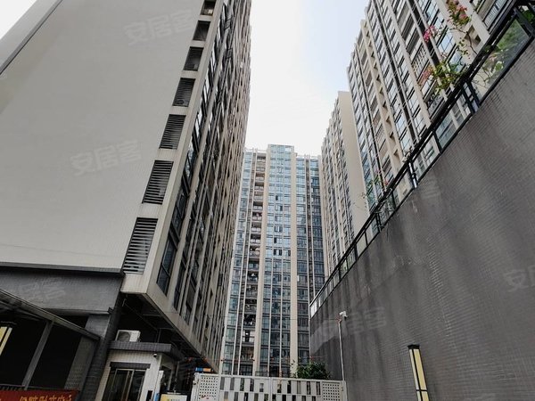 广州花都镜湖大道高晟广场小区随时看房入住 高楼层出租 无异味出租