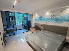 深圳龙岗大运龙岗中心城大运中心 大运体育中心 电梯豪华装修大单间拎包入住出租房源真实图片