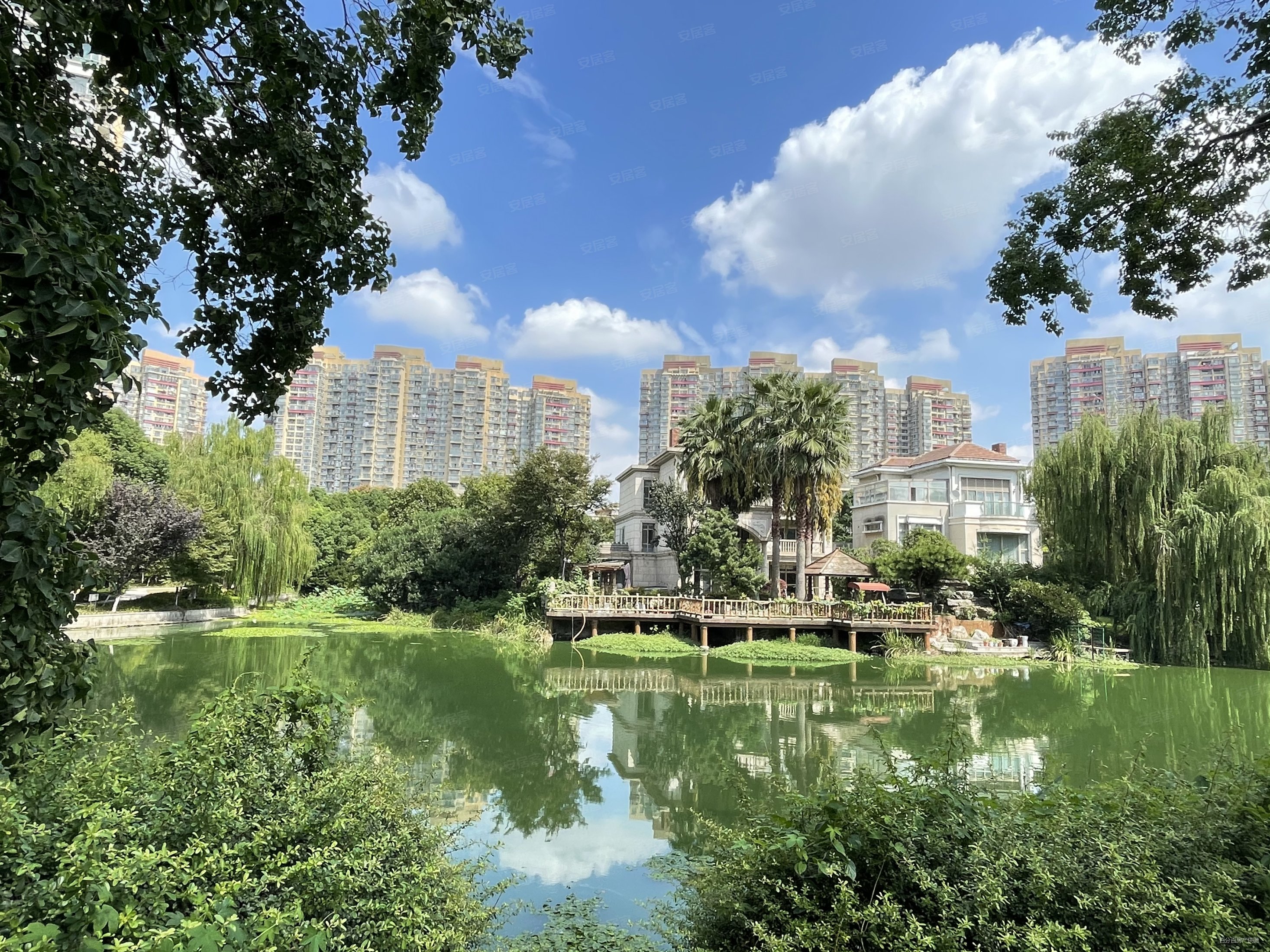 蝶湖湾全朝南2房,中间楼层,看房随时!