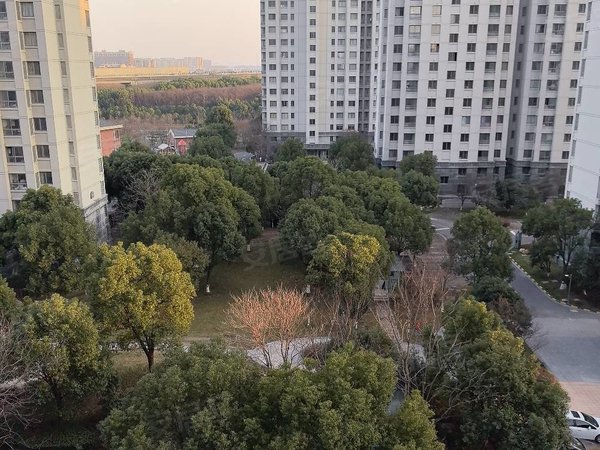 【多图】华亭茗苑,九亭租房,漕河泾园区,精装两房,客厅带阳台,电梯房