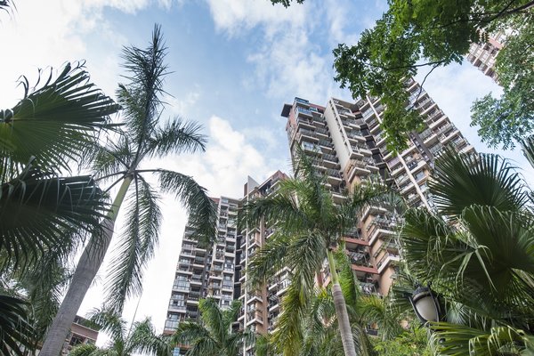 中海阳光玫瑰园