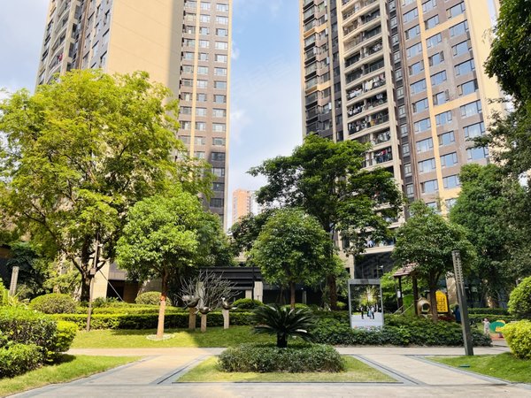 深圳龙华梅林关口龙光玖龙玺地铁4号线 白石龙地铁口 龙光玖龙玺 精装