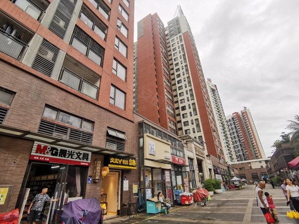 东莞南城南城车站万科金悦香树网红小区 金悦香树 三房两卫 业主自住