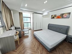 宁波杭州湾新区世纪金源购物中心刚来杭州湾必看房，可短租，押一付一，精装修独门独户一居室出租房源真实图片